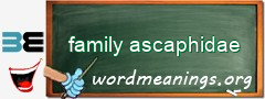 WordMeaning blackboard for family ascaphidae